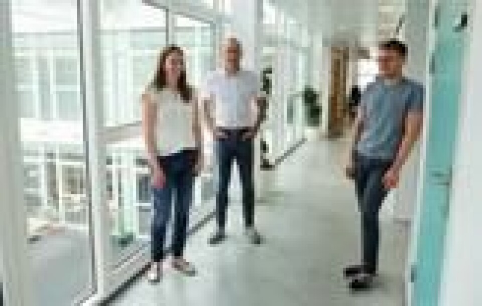 Clara-Cecilie Günther, Anders Løland og Kristoffer H. Helton har laget modellen som de tror vil spå valget 2017. Clara-Cecilie Günther, Anders Løland og Kristoffer H. Helton har laget modellen som de tror vil spå valget 2017. Foto: Finansavisen