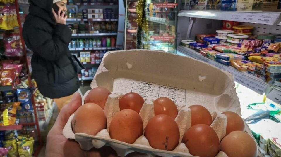 Egg er en sentral ingrediens når den viktigste høytiden i Russland, nyttår, skal feires.