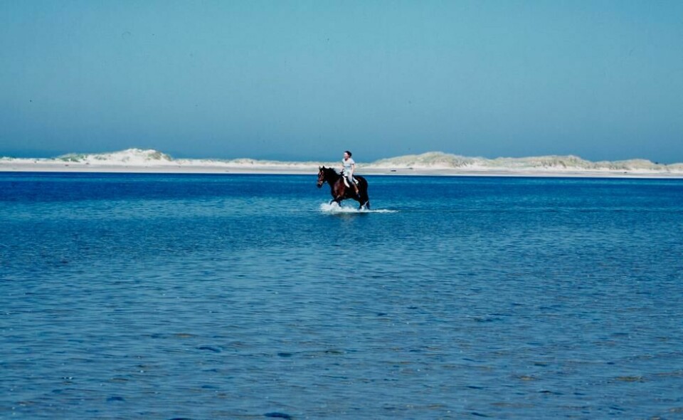 Strendene i Nairn er velkjente, og lady Cawdor, som er en ivrig rytterske, er blant dem som besøker dem regelmessig. Strendene i Nairn er velkjente, og lady Cawdor, som er en ivrig rytterske, er blant dem som besøker dem regelmessig. Foto: Bjørn Moholdt