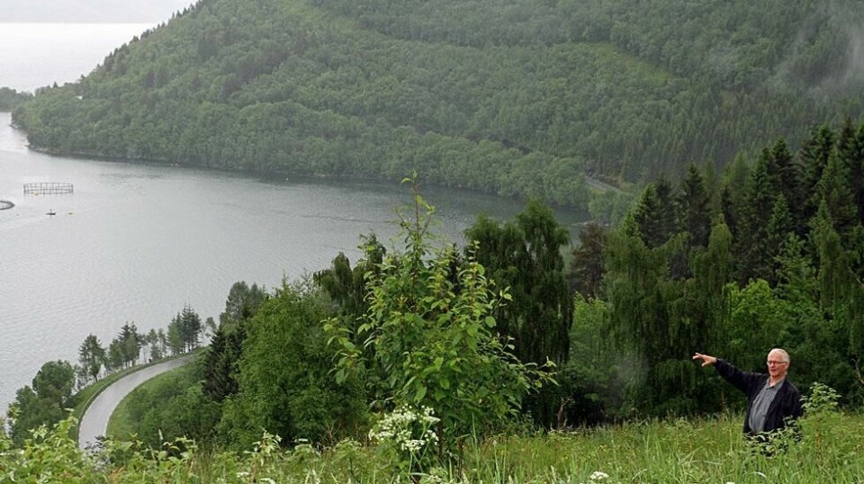 PARAGRAFRYTTERI? På toppen av denne bratte enga som stuper ned i Tingvollfjorden, vil Erling Hoem bygge sin kårbolig. En ung familie skal få overta en av de siste gårdene i drift i fraflyttingsbygda Hoem. Men Fylkesmannen er redd det vil føre til fragmentering av jordbruksland, og sier nei.