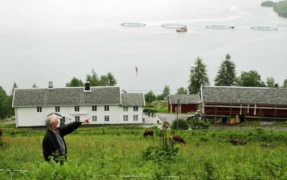 BRUK SKJØNN! Oppfordringen fra bonde Erling Hoem er klar til Fylkesmannen i Sør-Trøndelag, som nå skal vurdere søknaden om å bygge kårbolig i beitemarka rett overfor den gamle familiegården. I tettbygde strøk slipper myndighetene bolig-, vei- og kjøpesenterbyggerne villig til på kornåkre. BRUK SKJØNN! Oppfordringen fra bonde Erling Hoem er klar til Fylkesmannen i Sør-Trøndelag, som nå skal vurdere søknaden om å bygge kårbolig i beitemarka rett overfor den gamle familiegården. I tettbygde strøk slipper myndighetene bolig-, vei- og kjøpesenterbyggerne villig til på kornåkre. Foto: Thomas Vermes / ABC Nyheter