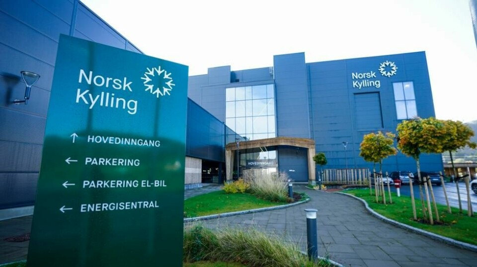 Reitan-leverandør Norsk Kylling har i nesten to år jobbet med Islamsk Råd Norge for å bli sertifisert som halal-produsent av kylling.