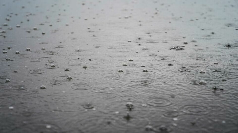 Sandalene må nok byttes ut med gummistøvler på Østlandet onsdag. Meteorologisk institutt har sendt ut gult farevarsel for masse regn. Foto: Annika Byrde / NTB