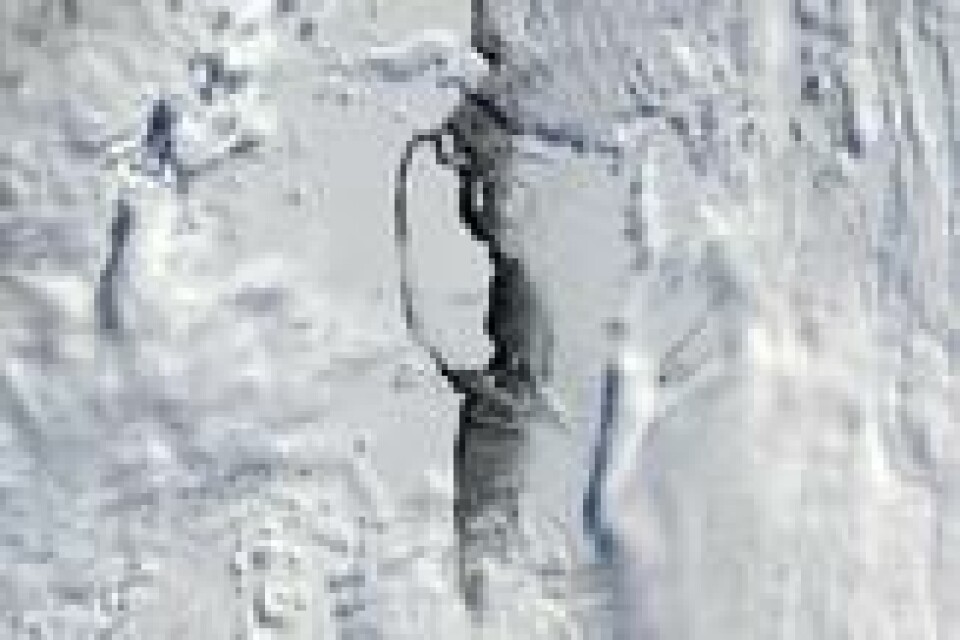 Isbremmen Larsen C er oppkalt etter den norske oppdageren Carl Anton Larsen. Isbremmen Larsen C er oppkalt etter den norske oppdageren Carl Anton Larsen. Foto: Nasa Earth Observatory / Handout / EPA