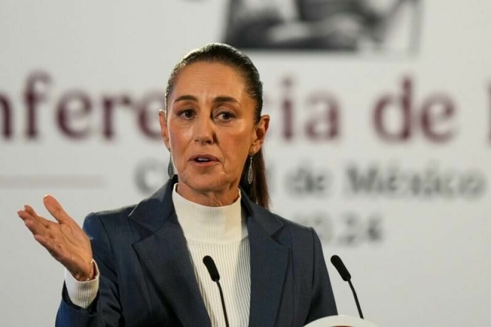 Mexicos president Claudia Sheinbaum sier hun vil vise Donald Trump at massedeportering av utlendinger er unødvendig og skadelig for USAs egen økonomi.