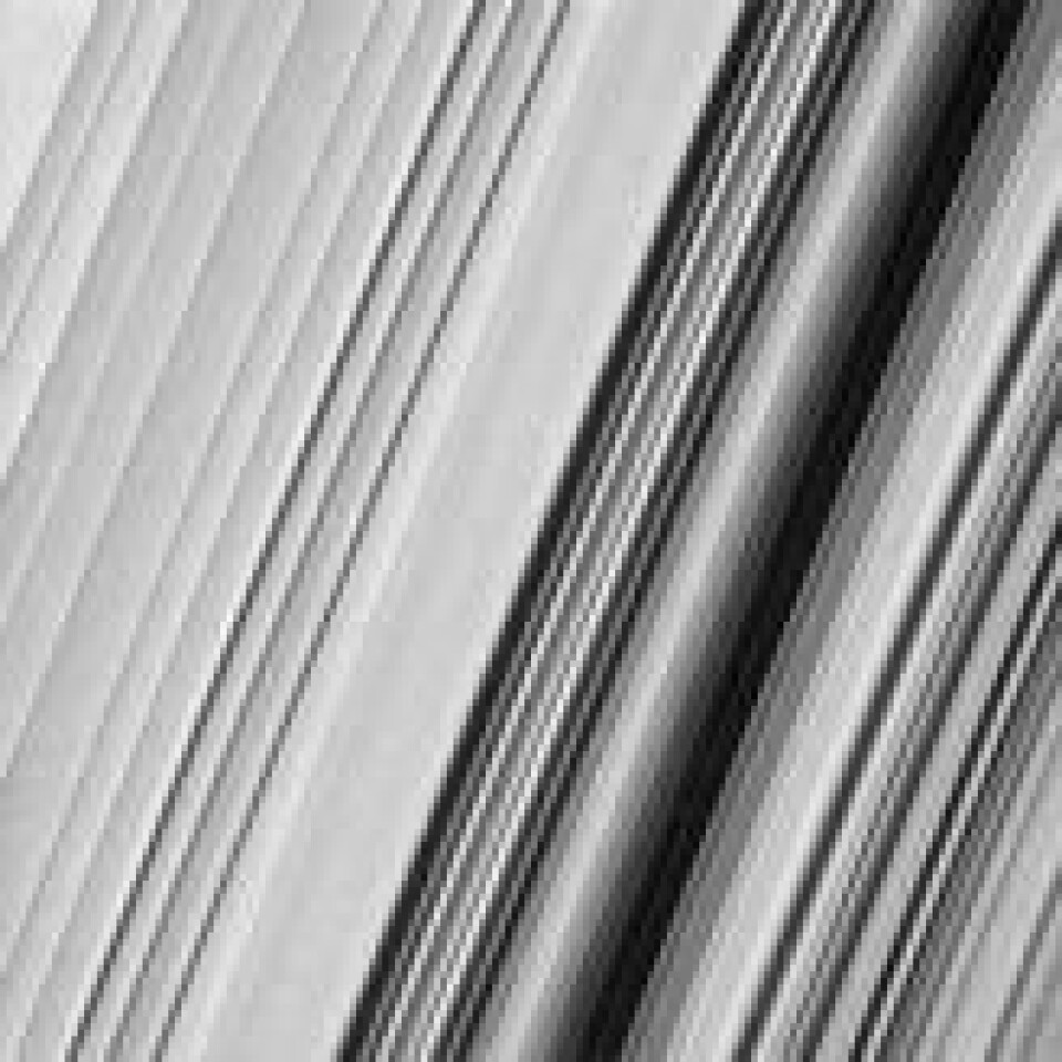 En region i Saturns ytre B-ring. Nasas eksperter er fremdeles usikre på hva som skaper strukturene vi ser i dette motivet, men de håper de nye, detaljerte bildene vil bidra til å løse dette mysteriet. For å bevare alle detaljer er ikke bildet bearbeidet for å fjerne de små lysflekkene, som skapes av kosmisk stråling og ladde partikler nær planeten. Bildet er tatt i synlig lys med vidvinkelkameraet ombord på Cassini-sonden, 18. desember 2016. Avstanden mellom romsonden og ringene var omkring 51.000 kilometer. Hver piksel på bildet tilsvarer omtrent 360 meter. Foto: NASA/JPL-Caltech/Space Science Institute En region i Saturns ytre B-ring. Nasas eksperter er fremdeles usikre på hva som skaper strukturene vi ser i dette motivet, men de håper de nye, detaljerte bildene vil bidra til å løse dette mysteriet. For å bevare alle detaljer er ikke bildet bearbeidet for å fjerne de små lysflekkene, som skapes av kosmisk stråling og ladde partikler nær planeten. Bildet er tatt i synlig lys med vidvinkelkameraet ombord på Cassini-sonden, 18. desember 2016. Avstanden mellom romsonden og ringene var omkring 51.000 kilometer. Hver piksel på bildet tilsvarer omtrent 360 meter. Foto: NASA/JPL-Caltech/Space Science Institute