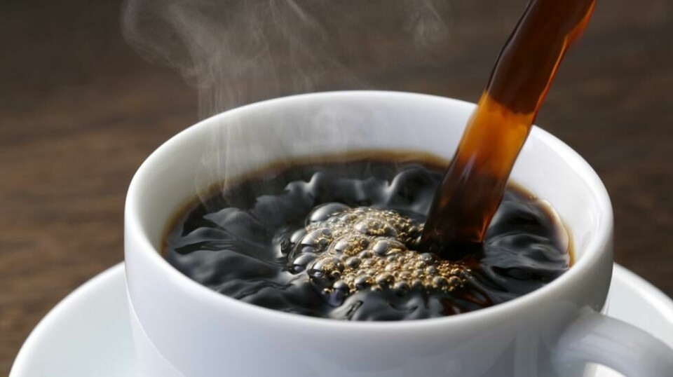 Ifølge en ny studie skal kaffe dempe risikoen for fedme og diabetes type 2.