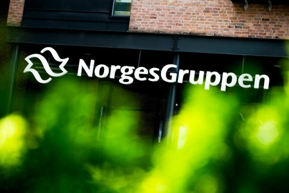 Norges største dagligvareselskap Norgesgruppen ga utbytte til eierne på 1,12 milliarder kroner i 2022 og 1,24 milliarder kroner i 2023. Det er årlig 360 millioner kroner mer enn de oppga i de respektive årsrapportene.
