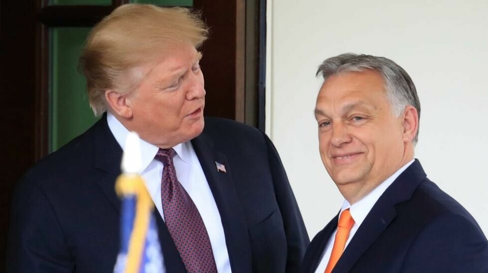 Viktor Orban og Donald Trump har over tid utviklet et godt forhold.