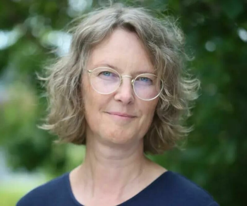 Monica Hauger Carlsen er medlem av faggruppen for tilsetningsstoffer, aroma, matemballasje og kosmetikk hos Vitenskapskomiteen for mat og miljø. Monica Hauger Carlsen er medlem av faggruppen for tilsetningsstoffer, aroma, matemballasje og kosmetikk hos Vitenskapskomiteen for mat og miljø. Foto: UiO