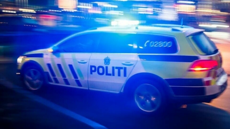 I tillegg til flere politipatruljer deltok over 50 personer fra Røde Kors, tolv hunder og to operative ledere fra Norske Redningshunder, samt syv personer fra Norsk Folkehjelp.