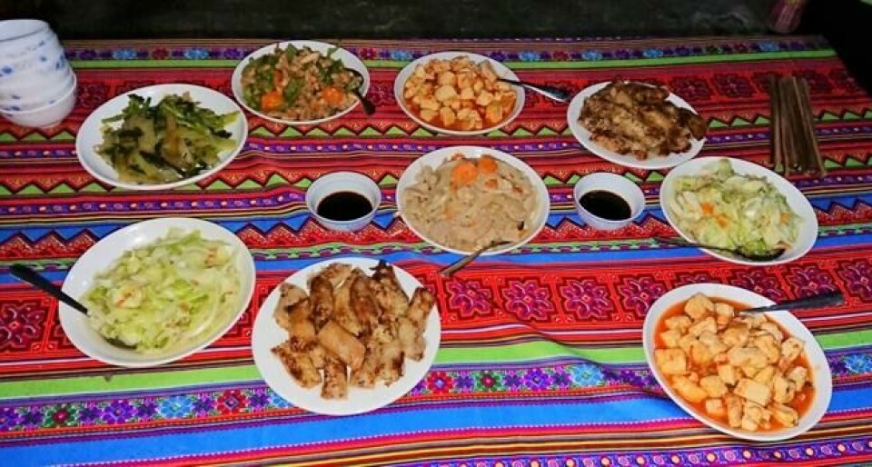 Vietnamesisk buffet til middag. Vietnamesisk buffet til middag. Foto: Elisabeth Bergskaug/ABC Nyheter