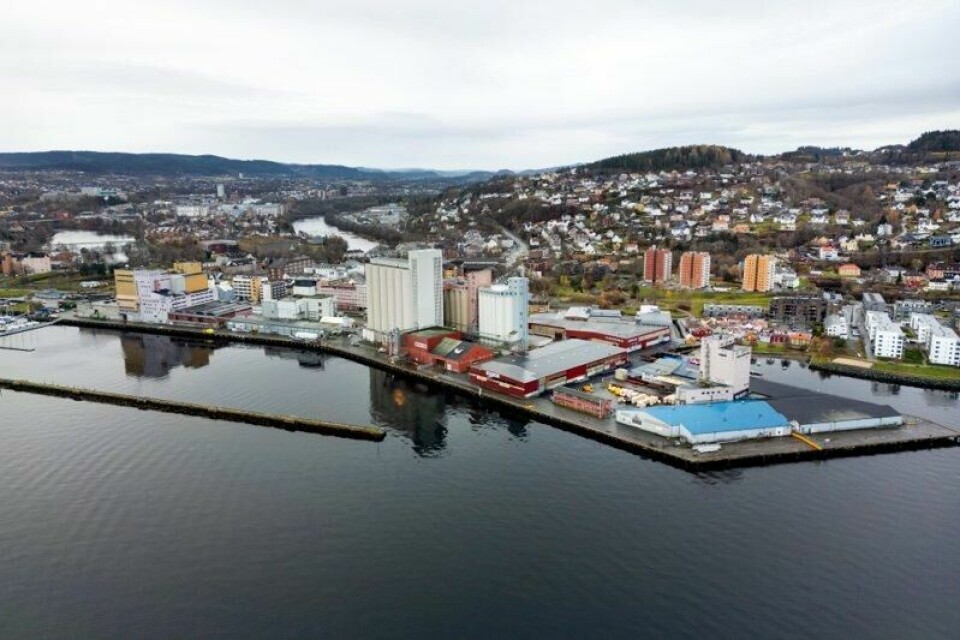 Fôret som førte til den såkalte eggskandalen, ble produsert ved Felleskjøpets fabrikk i Trondheim.