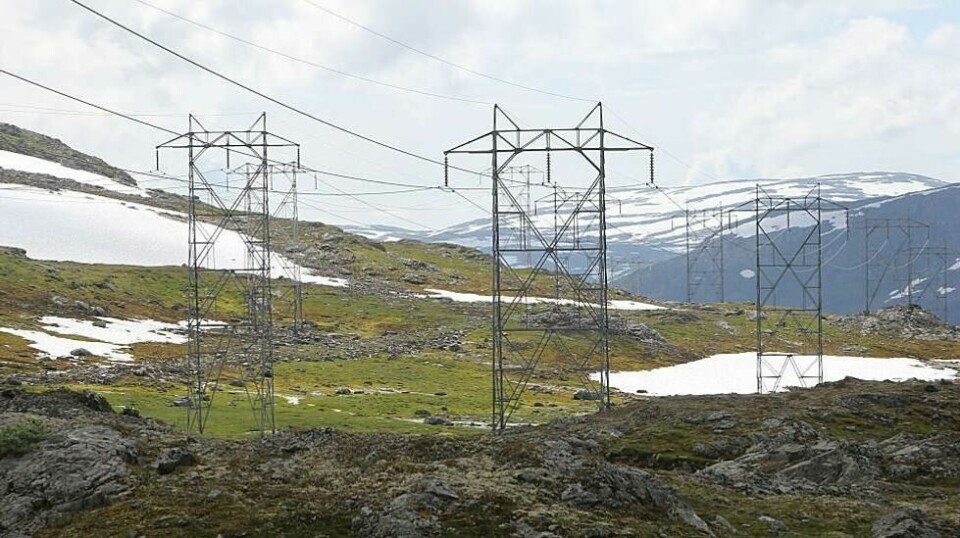Norske kraftselskaper selger garantier for hundrevis av millioner kroner i året til kraftselgere på kontinentet.