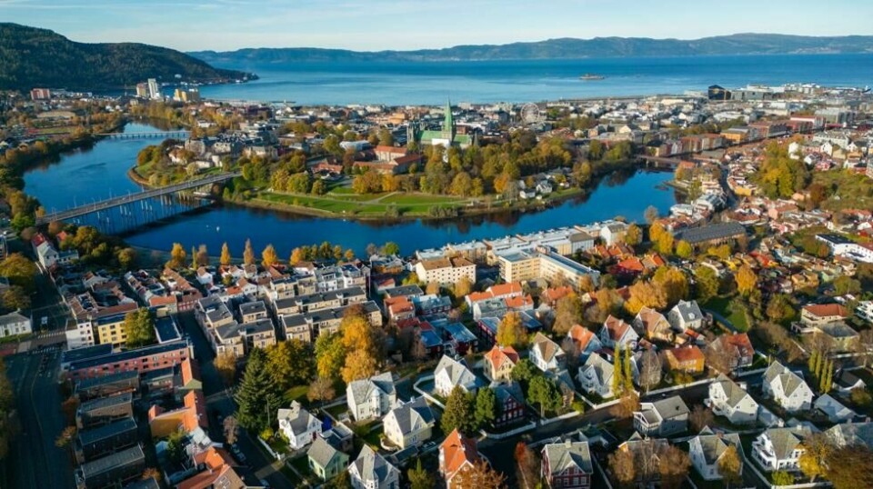 På lengre sikt drives boligprisene av husholdningenes realdisponible inntekt, boligkapital, gjeld og realrente. På kort sikt kan forventninger til framtidige boligpriser og mulige politikkendringer påvirke boligprisene i stor grad.