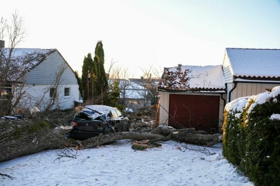 Et stort tre har veltet over både en parkert bil og to boliger i Moss, opplyser brannvesenet. Ingen er skadet.