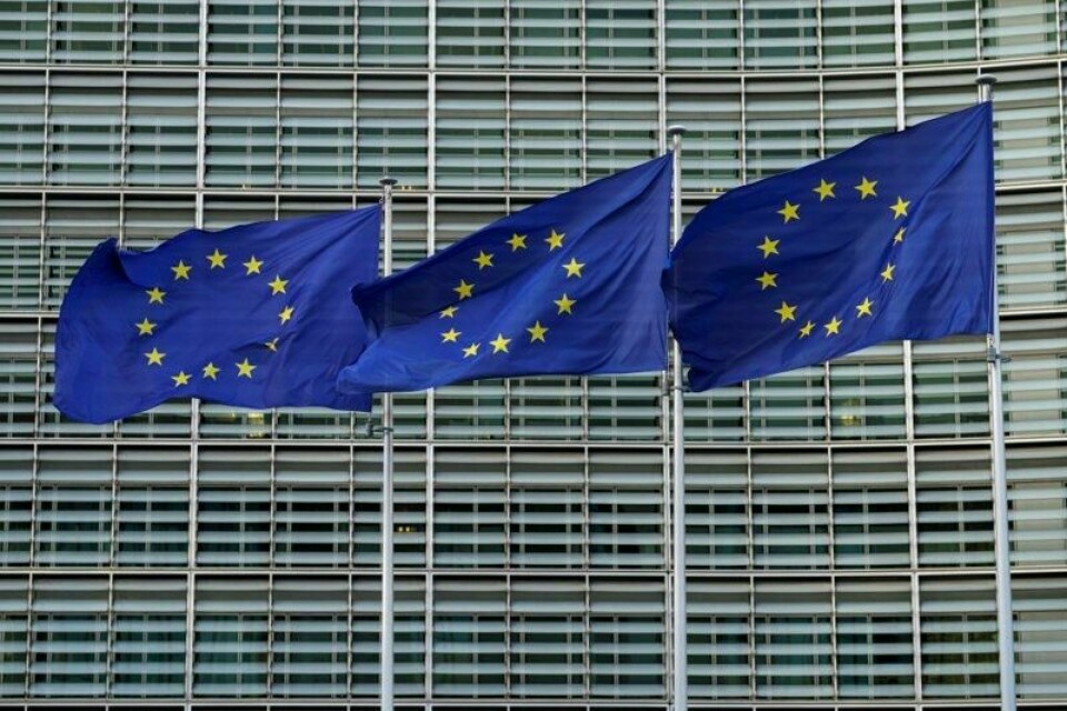 Forenkling av regelverk er i vinden i EU. Men nå kommer det advarsler fra uvanlig hold.