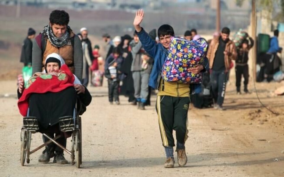 125.000 irakere skal være på flukt fra Mosul. 60.000 er barn, ifølge Unicef. 125.000 irakere skal være på flukt fra Mosul. 60.000 er barn, ifølge Unicef. Foto: Ahmad Al-rubaye / AFP