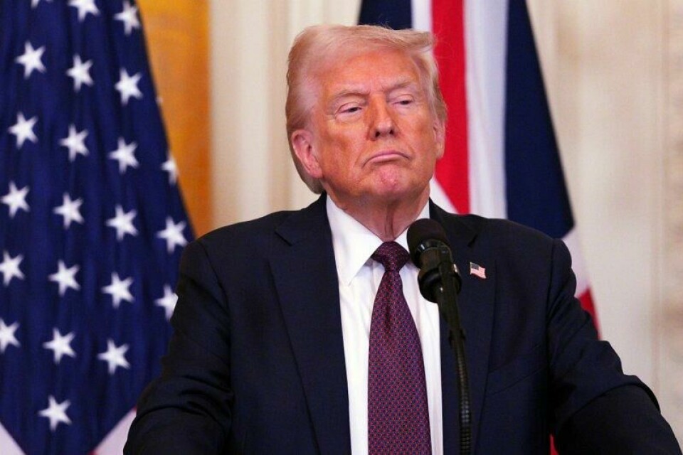 USAs president Donald Trump har kommet med flere falske påstander om Ukrainas president Volodymyr Zelenskyj, blant annet om at han kun har 4 prosents oppslutning på meningsmålingene, mens han i realiteten har over 50 prosent. USAs president Donald Trump har kommet med flere falske påstander om Ukrainas president Volodymyr Zelenskyj, blant annet om at han kun har 4 prosents oppslutning på meningsmålingene, mens han i realiteten har over 50 prosent. Foto: Carl Court / Pool Photo via AP / NTB