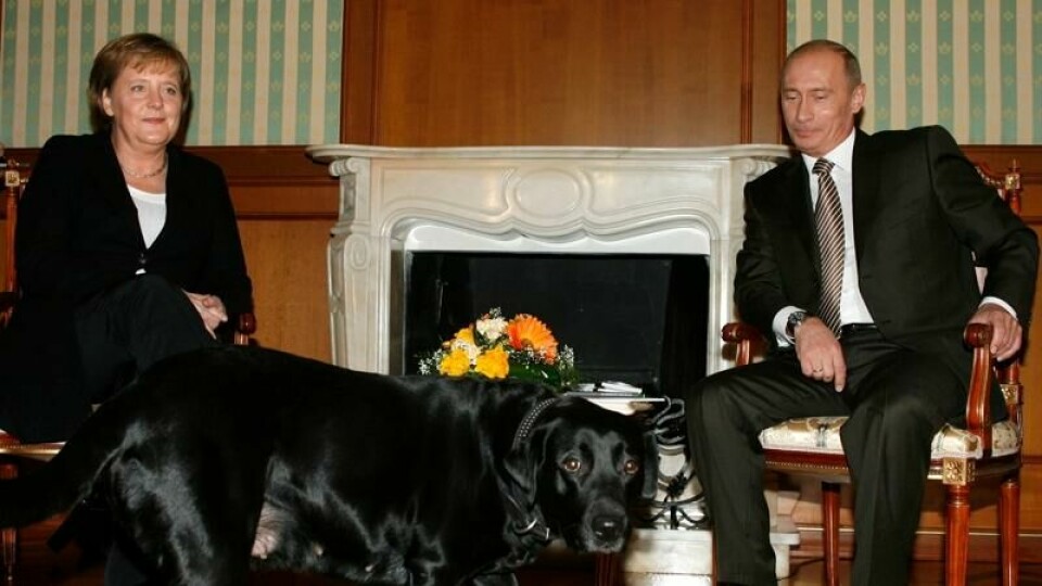 Russlands president beklager til Angela Merkel for at han tok med hunden sin Konni til et møte i 2007.