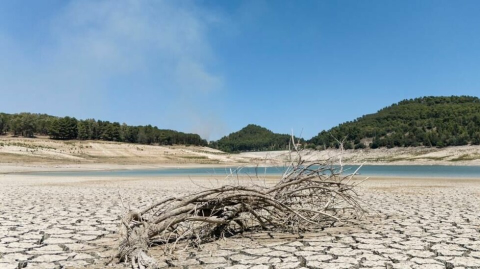 Innsjøen Fanaco er vannkilde for store deler av Sør-Sicilia, blant annet byen Agrigento. Foto: Andrew Medichini / AP / NTB