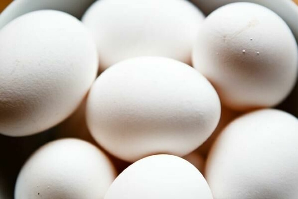 Importen av egg økte i februar, ifølge SSB.