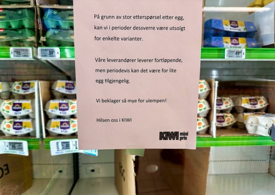 I midten av februar varslet Kiwi sine kunder om mulig eggmangel. Høyres Lene Westgaard-Halle og Venstres Alfred Bjørlo peker på at eggmangelen snart har vart i ett år, og de ber derfor Nortura importere egg. I midten av februar varslet Kiwi sine kunder om mulig eggmangel. Høyres Lene Westgaard-Halle og Venstres Alfred Bjørlo peker på at eggmangelen snart har vart i ett år, og de ber derfor Nortura importere egg. Foto: André Lorentsen / NTB
