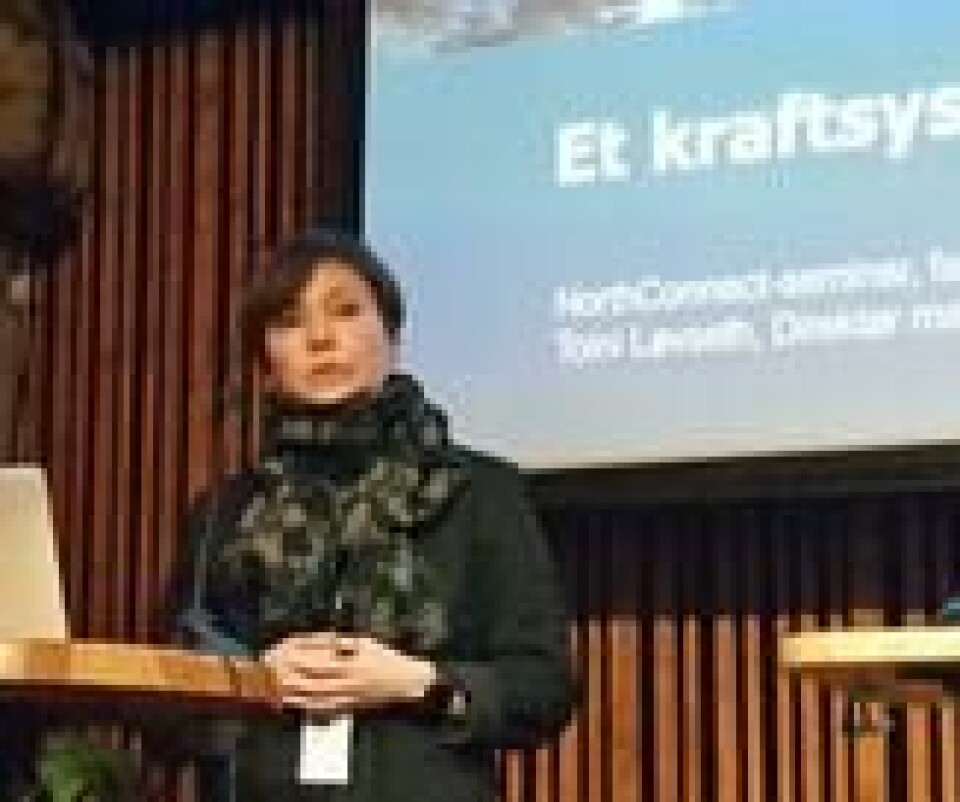 ENERGI NORGE: Direktør Toini Løvseth i kraftselskapenes NHO-organisasjon Energi Norge beroliger: Utenlandskabler gir rimelig strøm, og Norge vil ha nok kraft også til å elektrifisere landet. ENERGI NORGE: Direktør Toini Løvseth i kraftselskapenes NHO-organisasjon Energi Norge beroliger: Utenlandskabler gir rimelig strøm, og Norge vil ha nok kraft også til å elektrifisere landet. Foto: Thomas Vermes / ABC Nyheter