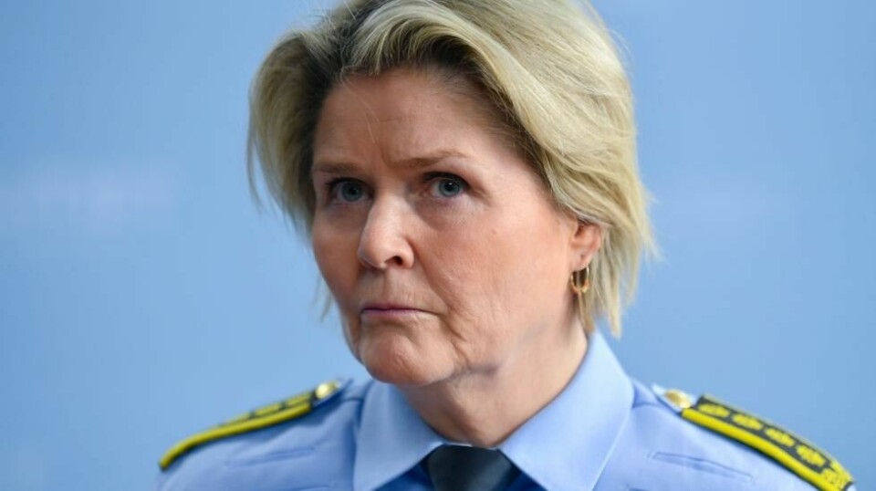 – Tidligere jobbet politiet separat med slike saker, men nå er det et mer proaktivt samarbeid for å forebygge og avskrekke kriminelle handlinger, sier politiinspektør Grete Metlid. Foto: Annika Byrde / NTB