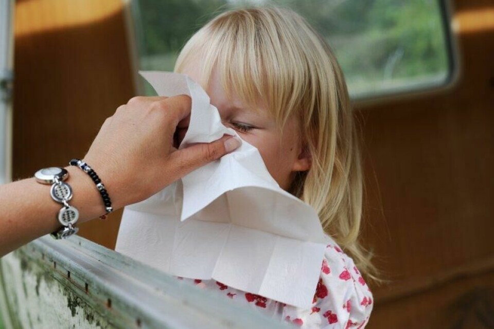 I aldersgruppen 0–4 år var andel prøver med påvist RS-virus på 34 prosent i uke 11, høyere forekomst enn for influensa.