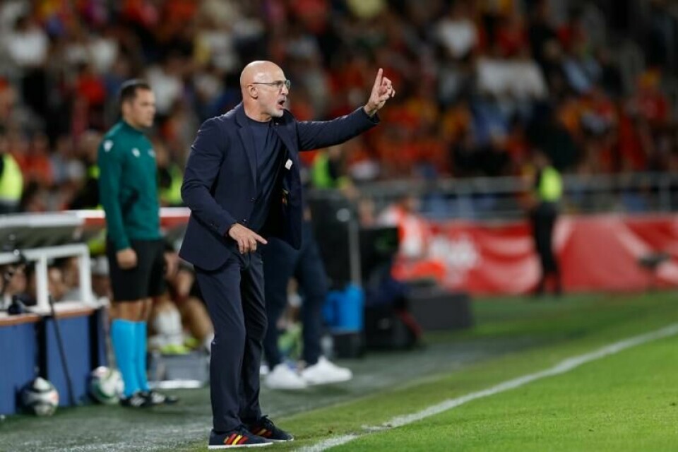 Det blir tre nye år for Luis de la Fuente i trenerstolen for det spanske landslaget.F