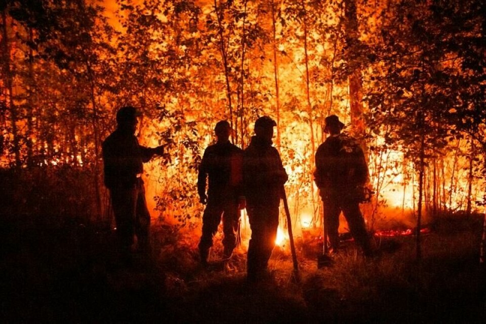 Illustrasjonsfoto fra en skogbrann i Jakutsk i Sibir, noe sør for polarsirkelen. Skogbranner langt nord er en medvirkende årsak til at permafrosten smelter. Illustrasjonsfoto fra en skogbrann i Jakutsk i Sibir, noe sør for polarsirkelen. Skogbranner langt nord er en medvirkende årsak til at permafrosten smelter. Foto: Ivan Nikiforov / AP / NTB