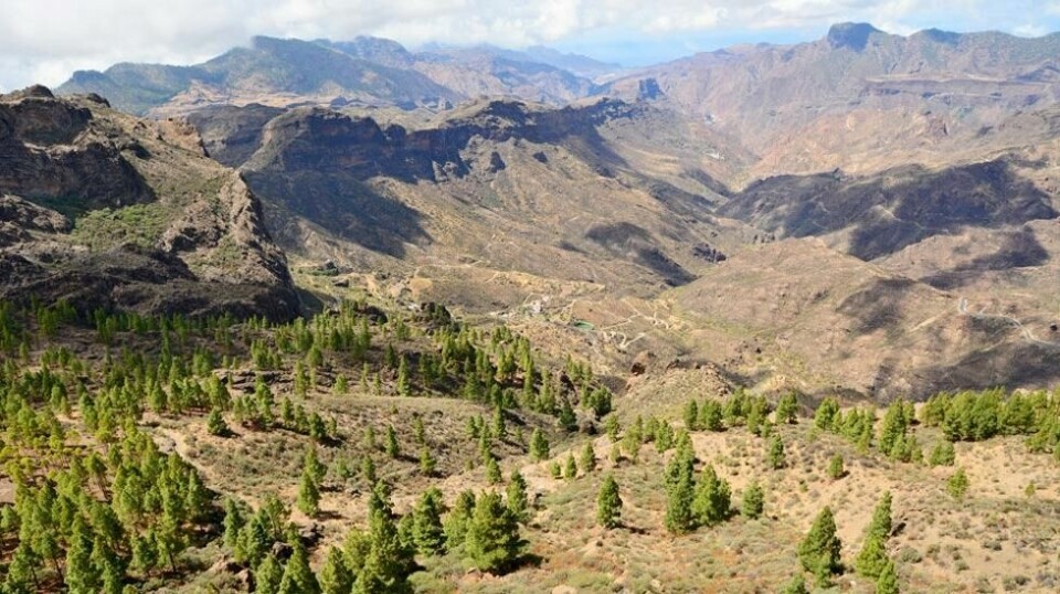 En norsk kvinne på fottur i et fjellområde på Gran Canaria falt og skadet foten sin mandag og ble hentet av helikopter. ILLUSTRASJONSFOTO: Colourbox.com