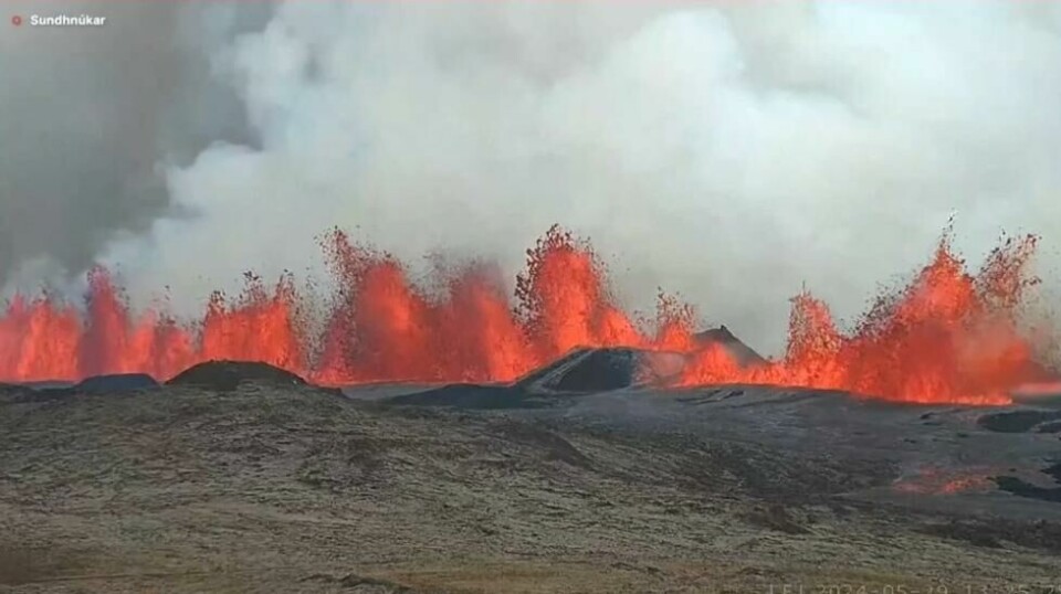 Det nye vulkanutbruddet på Reykjaneshalvøya på Island er i gang, kun få timer etter at man valgte å evakuere bygda Grindavik. Foto: Skjermdump / AP / NTB