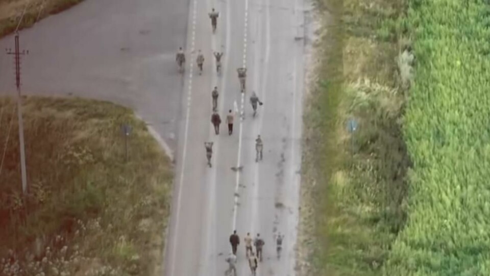 Et skjermbilde fra en video delt av det ukrainske militæret 16. august viser tilsynelatende massovergivelsen av russiske soldater. Et skjermbilde fra en video delt av det ukrainske militæret 16. august viser tilsynelatende massovergivelsen av russiske soldater. Foto: 80th Separate Air Assault Brigade / Facebook