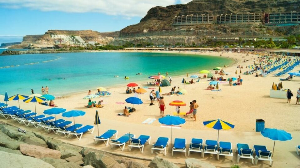 NORSK «KOLONI»: Amadores på spanske Gran Canaria er svært populær. På de travleste tidene kan det bli kamp om de beste plassene. Foto: Colourbox