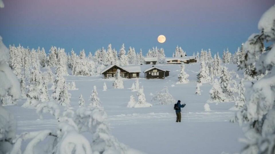 HYTTEDRØMMEN: – 100.000 husholdninger har konkrete planer om å kjøpe hytte i løpet av en treårsperiode, sier Bjørn-Erik Øye i Prognosesenteret. Foto: Berit Roald / NTB scanpix