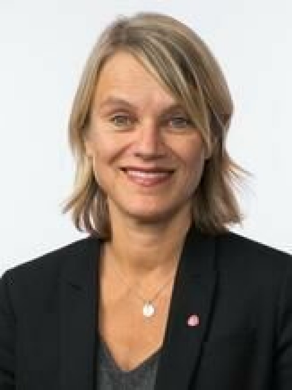 Nina Sandberg er kritisk til politiets håndtering. Nina Sandberg er kritisk til politiets håndtering. Foto: Stortinget