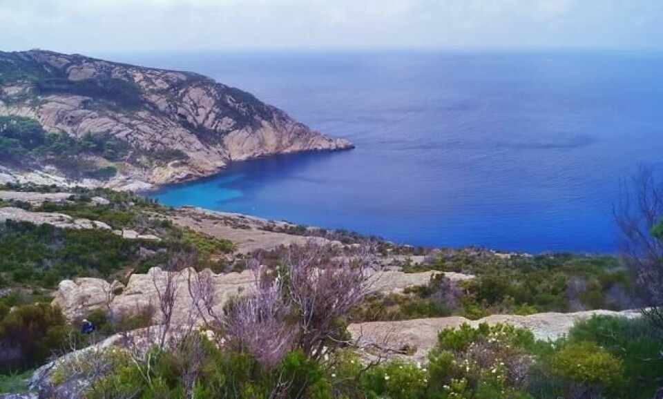 Øya er mest kjent fra Alexandre Dumas' roman «Greven av Monte Cristo», men bokens beskrivelse av øya stemmer ikke overens med virkeligheten. Foto: sansa55 / Shutterstock / NTB scanpix Øya er mest kjent fra Alexandre Dumas' roman «Greven av Monte Cristo», men bokens beskrivelse av øya stemmer ikke overens med virkeligheten. Foto: sansa55 / Shutterstock / NTB scanpix