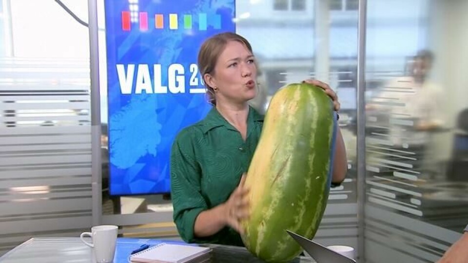 Denne enorme vannmelonen hadde Une Bastholm med seg i studio under en VGTV-debatt. Denne enorme vannmelonen hadde Une Bastholm med seg i studio under en VGTV-debatt. Foto: Skjermdump / VGTV