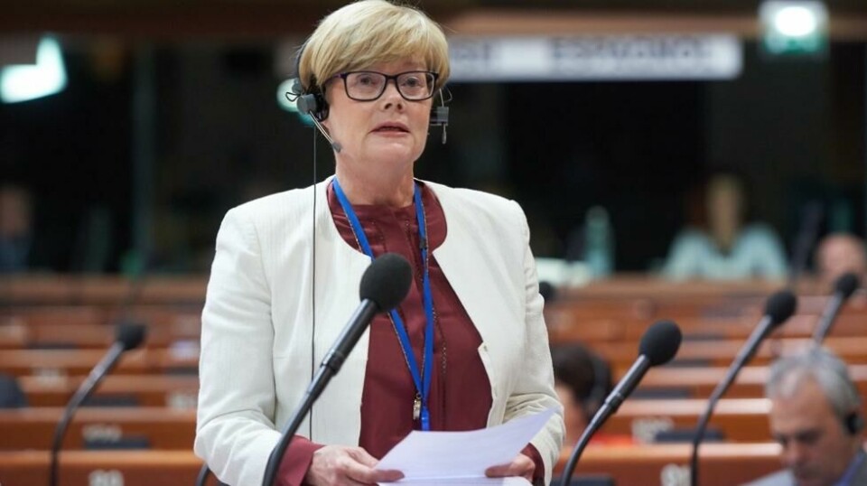 Høyre-politiker og norsk representant i Europarådets parlamentarikerforsamling, Kristin Ørmen Johnsen, mener norske politikere må fokusere på positive sider med innvandring.