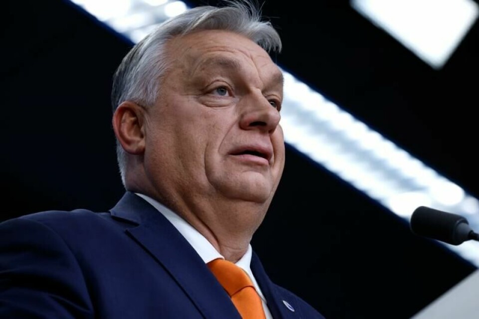 En tidligere polsk statssekretær som er under etterforskning i en rekke saker, har fått innvilget asyl i Ungarn, bekrefter statsminister Viktor Orban. Mannen mener etterforskningene mot ham er politisk motiverte.