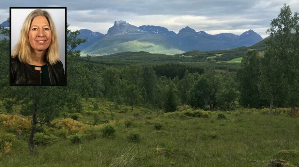 Forskningssjef ved Norsk institutt for Naturforsksning, Kristin Thorsrud Teien, mener Klimakur 2030 ikke tar innover seg de store karbonlagrene som finnes i norsk natur.