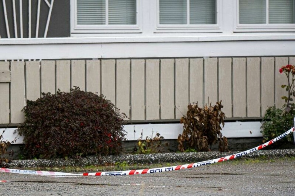 En mann i 20-årene erkjenner å ha drept moren sin og utsatt lillebroren sin for grov vold i Vestnes i oktober i fjor. Rettssaken startet mandag.