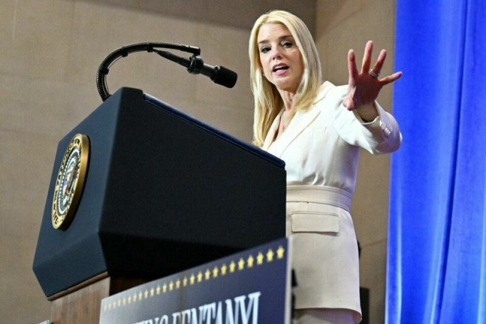 Justisminister Pam Bondi får i oppdrag å vurdere om det er mulig å innføre sanksjoner mot advokater og advokatfirmaer som president Donald Trump mener legger beslag på ressurser i rettsapparatet med useriøse søksmål.