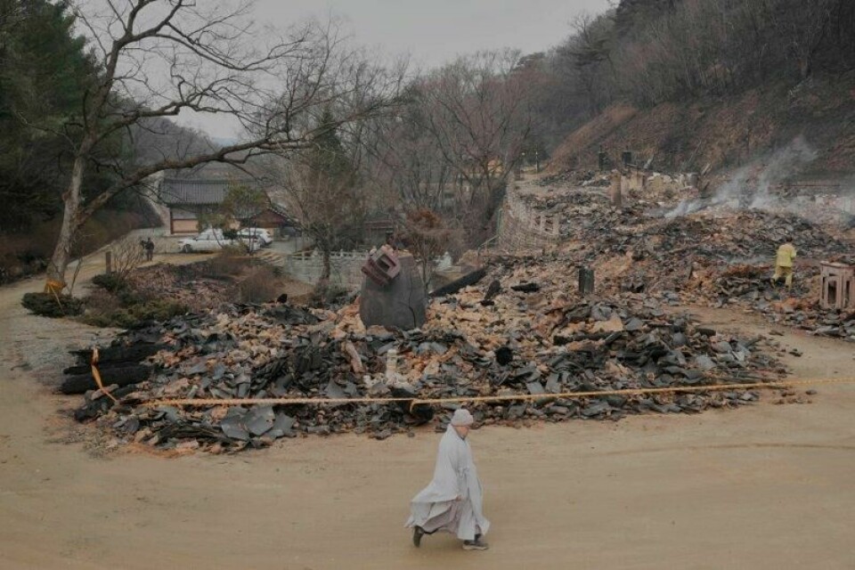 Lett regn på torsdag har gjort slukkingsarbeidet noe lettere i Sør-Korea. I Uiseong går en buddhistmunk forbi Gounsa-tempelet, som ble tatt av flammene i den største skogbrannen landet har opplevd.