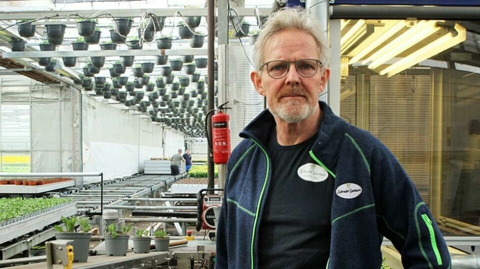 RYSTET: – Statssekretærens svar til ABC Nyheter viser problemet for vår næring: De vet ingenting om den! sier leder i Norsk Gartnerforbund, Eystein Ruud.