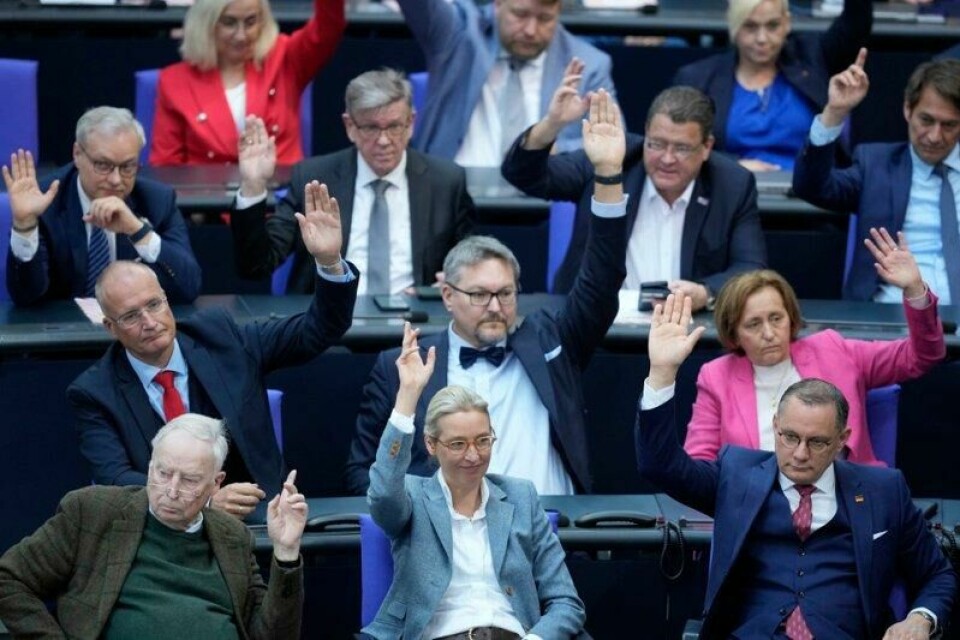 Medlemmer av AfD med partileder Alice Weidel i midten foran, deltar i en avstemning i den nye tyske nasjonalforsamlingen 25. mars.