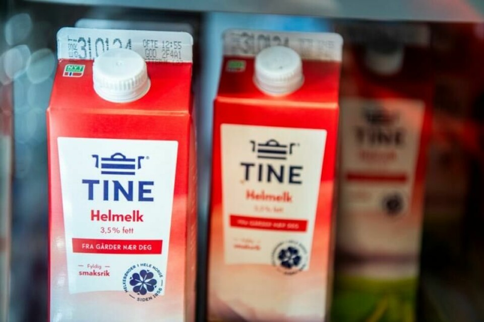 Det ventes økt melkeproduksjon i år.