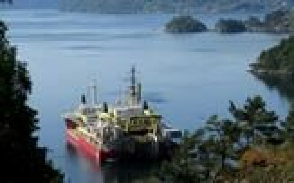Vellesfjord. Arbeidere på båten «Nexans Skagerrak» legger kabelen. Bilde fra mai i fjor. Vellesfjord. Arbeidere på båten «Nexans Skagerrak» legger kabelen. Bilde fra mai i fjor. Foto: Lefteris Karagiannopoulos / Reuters